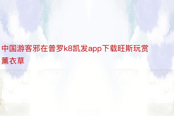 中国游客邪在普罗k8凯发app下载旺斯玩赏薰衣草